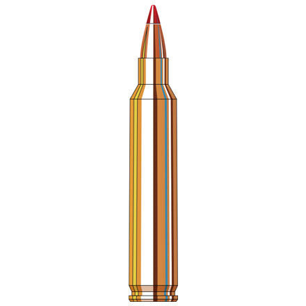Hornady 204 Ruger 40 GR V-Max Ammo