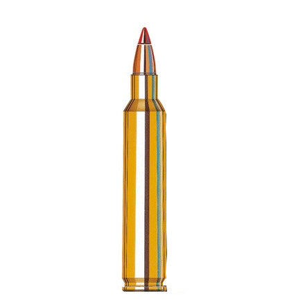 Hornady 204 Ruger 32GR V-Max Ammo