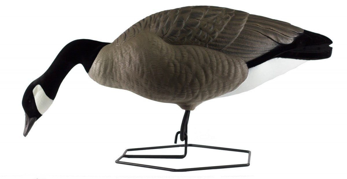 BEAVERTAIL ROGUE SERIES FULL BODY DECOYS, 6 PACK