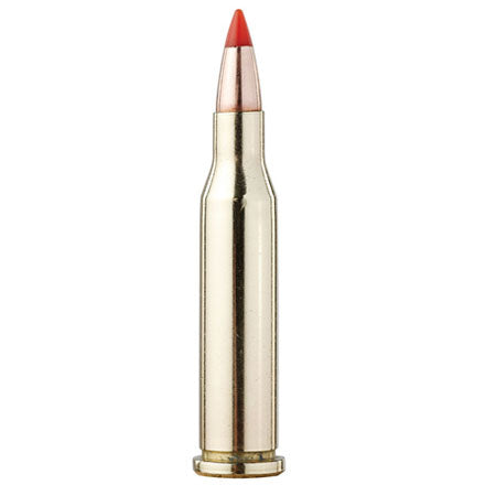 Hornady 17 Horent 20G V-Max Ammo
