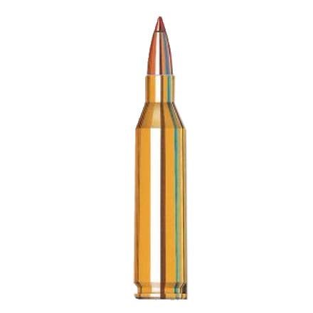 Hornady 243 Win 58GR Vmax Ammo