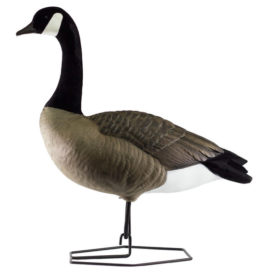 BEAVERTAIL ROGUE SERIES FULL BODY DECOYS, 6 PACK