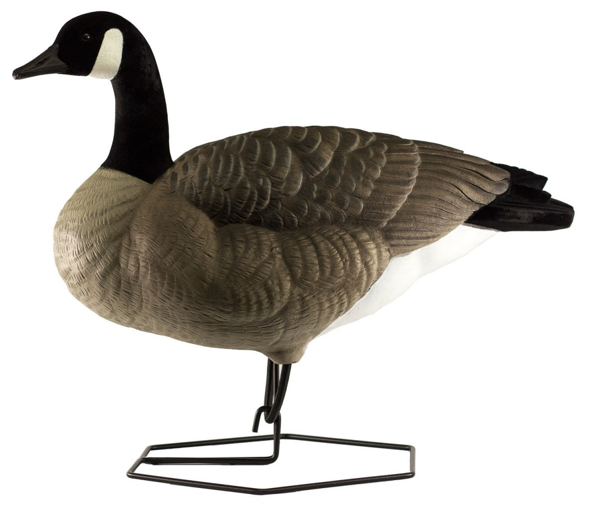 BEAVERTAIL ROGUE SERIES FULL BODY DECOYS, 6 PACK