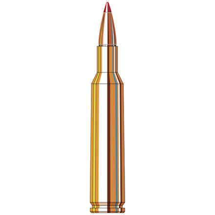 Hornady 6MM Rem 95GR SST Ammo