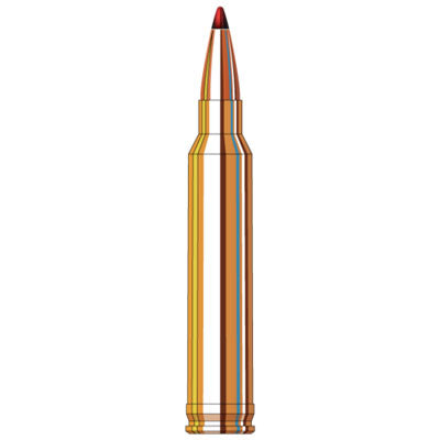 Hornady 300 Win 200GR PREC Hunter Ammo