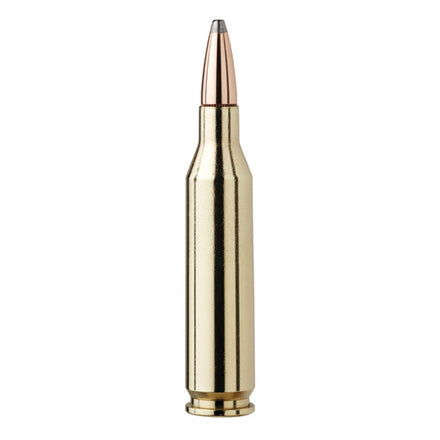 Hornady AW 243 100GR BTSP Ammo