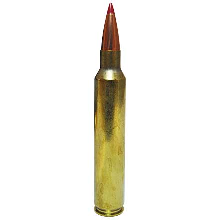 Hornady 300RUM 200GR PH Ammo